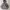 Y2K Hoody Pria gray photo 1