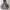 Y2K Hoody Pria Gray