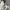 Y2K Hoody Pria gray photo 6