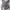 Y2K Hoody Pria gray photo 3