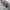 Y2K Hoody Pria gray photo 2