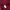 Russell Athletic Vintage Hoody Pria burgundy photo 4