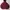Russell Athletic Vintage Hoody Pria burgundy photo 1