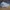 Adidas Streetwear Sneakers Pria gray photo 2