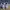 Adidas Streetwear Sneakers Pria gray photo 3