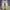 Adidas Streetwear Sneakers Pria gray photo 5