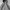 Y2K Hoody Pria white gray photo 2