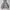 Y2K Hoody Pria white gray photo 3