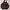 XLARGE Y2K Hoody Pria brown photo 3