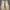 Adidas Streetwear Sportswear Sneakers Pria white photo 6