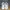 Adidas Streetwear Sportswear Sneakers Pria white photo 3