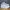 Adidas Streetwear Sportswear Sneakers Pria white photo 2