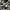 Maternal Disaster Casual Sneakers Pria white black photo 1
