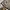 Nike Sportswear Sneakers Pria white photo 1