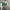 Nike Casual Windbreaker Wanita green photo 1