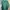 Nike Casual Windbreaker Wanita green photo 2