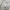 Dickies Vintage Streetwear Hoody Pria gray photo 5