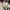Stussy Streetwear Skater Hoody Pria silver white photo 5