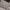 Coach Luxury Crossbody Bag Wanita khaki cream photo 4