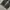 Vintage Y2K Jeans Pria white black photo 4