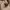 Loro Piana Luxury Minimalist Cardigan Pria black cream photo 5