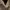 Loro Piana Luxury Minimalist Cardigan Pria black cream photo 1