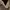 Loro Piana Luxury Minimalist Cardigan Pria Black Cream