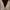 Loro Piana Luxury Minimalist Cardigan Pria black cream photo 3