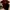 Nautica Minimalist Casual T-shirt Pria burgundy red photo 1