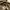 Polo Ralph Lauren Luxury Minimalist Polo shirt Pria gray photo 5