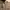 Polo Ralph Lauren Luxury Minimalist Polo shirt Pria gray photo 4