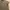 Polo Ralph Lauren Luxury Minimalist Polo shirt Pria gray photo 3