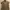 Polo Ralph Lauren Luxury Minimalist Polo Shirt Pria Gray