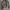 Y2K Avant Garde Bomber jacket Wanita silver photo 1
