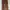Streetwear Skater Casual pants Pria brown photo 1