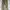 ZARA Vintage Biker Jeans Pria gray photo 1