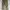 ZARA Vintage Biker Jeans Pria Gray