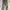ZARA Vintage Biker Jeans Pria gray photo 2