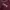 Streetwear Sportswear Jersey Pria burgundy photo 7