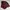 Streetwear Sportswear Jersey Pria Burgundy