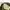 Carhartt Vintage Streetwear Casual pants Pria green black photo 5