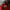 WHO.A.U Casual Hoody Pria Red