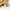 Carhartt Vintage Streetwear Pria tan photo 3