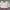Uniqlo Casual Bomber jacket Wanita burgundy white photo 1