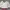 Uniqlo Casual Bomber Jacket Wanita Burgundy White