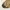 Carhartt Vintage Y2K Track jacket Pria tan photo 4