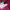 Daks Y2K Casual Bags & purse Wanita pink photo 4