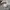Fendi Luxury Casual Polo shirt Pria tan photo 4