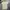 Fendi Luxury Casual Polo shirt Pria tan photo 2