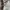 Kolon Sport Gorpcore Track jacket Wanita green cream photo 3